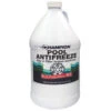 Champion 1 Gallon Non-Toxic Pool AntiFreeze