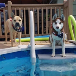 Confer Plastics CCX-AG Above Ground Curve In-Pool Step System -Swimming 2 Dogs 35628.1716303478