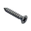 Waterway 819-0006 12 X 1.25" Skimmer Screw Kit -Swimming 4 waterway screw set 7 95093.1713207586