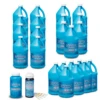 Baquacil CDX Bulk Deal For Pools Up To 20,000 Gallons -Swimming Baquacil bulk deal 20k 39169.1695926649