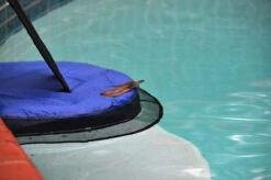 Swimline Frog Log Escape Ramp -Swimming Frog Log Brown Snake 36062.1705523689