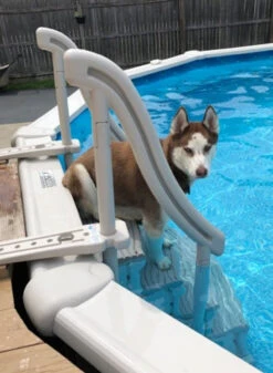 Confer Plastics CCX-AG Above Ground Curve In-Pool Step System -Swimming Husky CCX AG 02931.1716303478