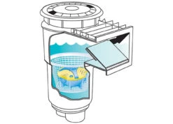 Swimming -Swimming Instant Frog Skimmer 64574.1692907399