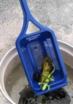 Lil Dip It Skimmer Dipper -Swimming Lil Dipit Debris Basket 42773.1694632316