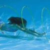 Swimline Slalom Hoops Underwater Race Course -Swimming dolphin slalom swimming pool game 26 57800.1691165698