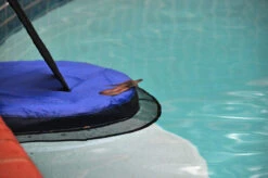 Swimline Frog Log Escape Ramp -Swimming thumbnail 11 42362.1705518574